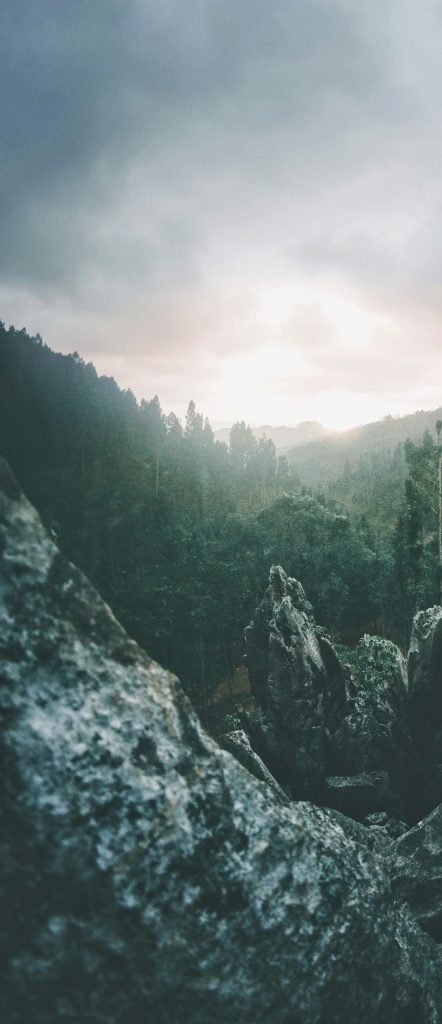 nail salon rutile natural style sp