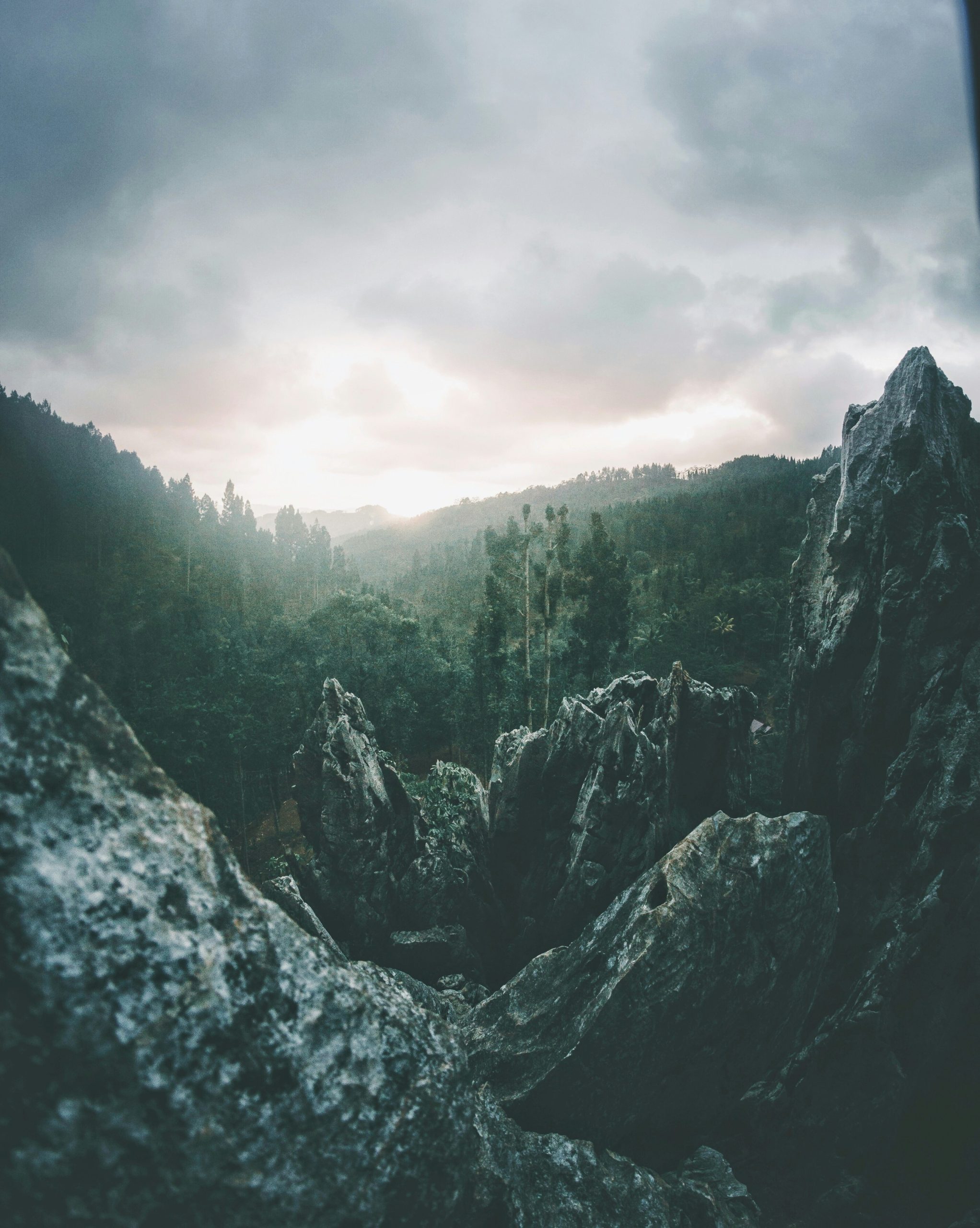 nail salon rutile natural style