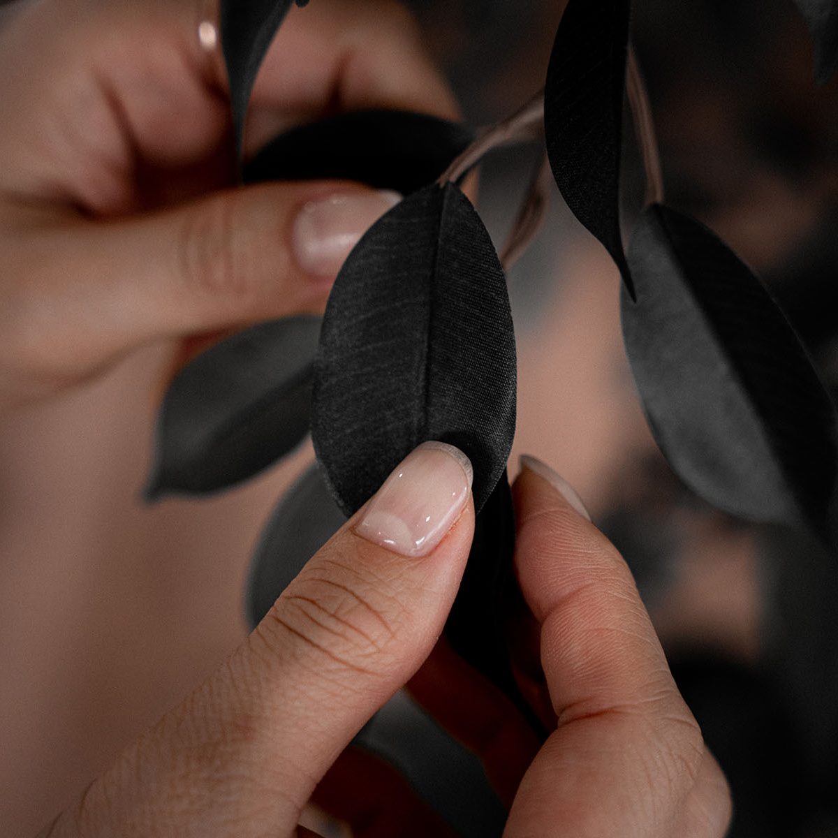 nailsalon rutileimage sp